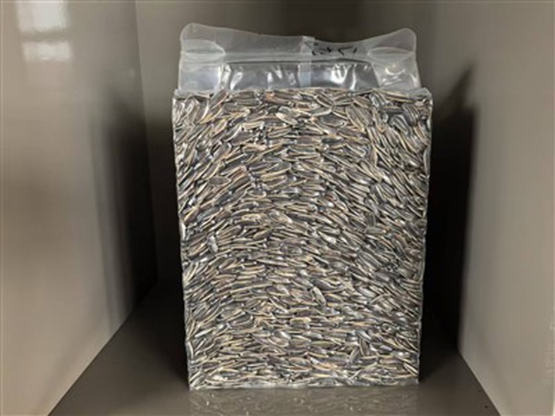 sunflower seeds vacuum packaging machine sunflower seeds vacuum packaging machine